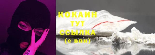 сатива Рославль