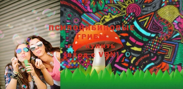 сатива Рославль