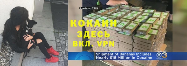сатива Рославль